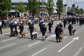 Fédération Nationale des Pompiers